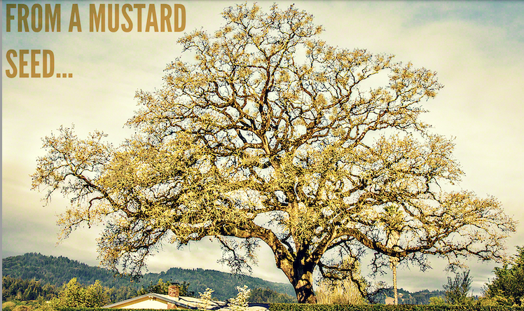 mustard seed tree